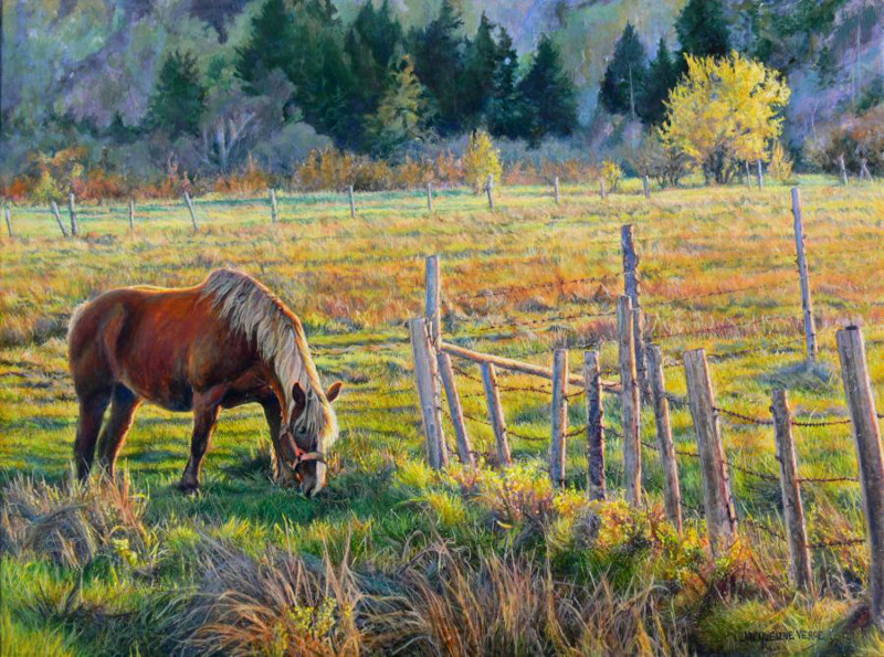 Shepody Pasture