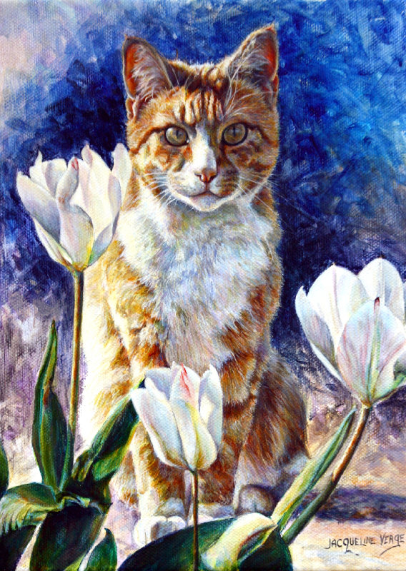 Whiskers & Petals